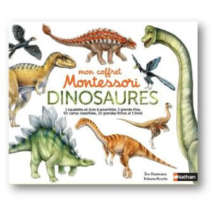 Mon-coffret-Monteori-des-dinosaures