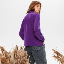 chemisier-en-soie-femme--dp510791-s5-detail-493x530 chemisier-en-soie-femme--dp510791-s5-detail-493x530