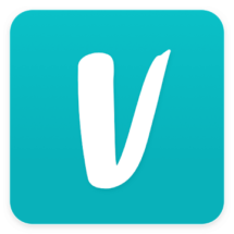 logo-vinted