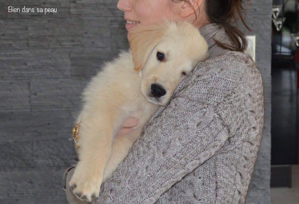 nous-avons-pris-un-chiot-bien-dans-sa-peau-3