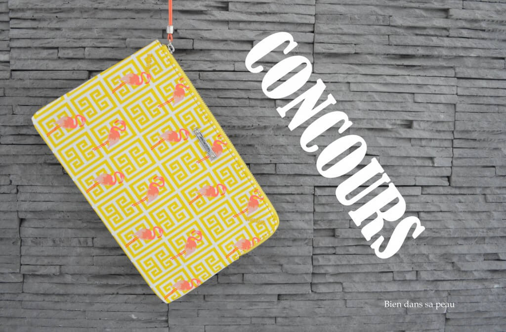 hall-stella-&-dot-capsule-hiver-2015-CONCOURS