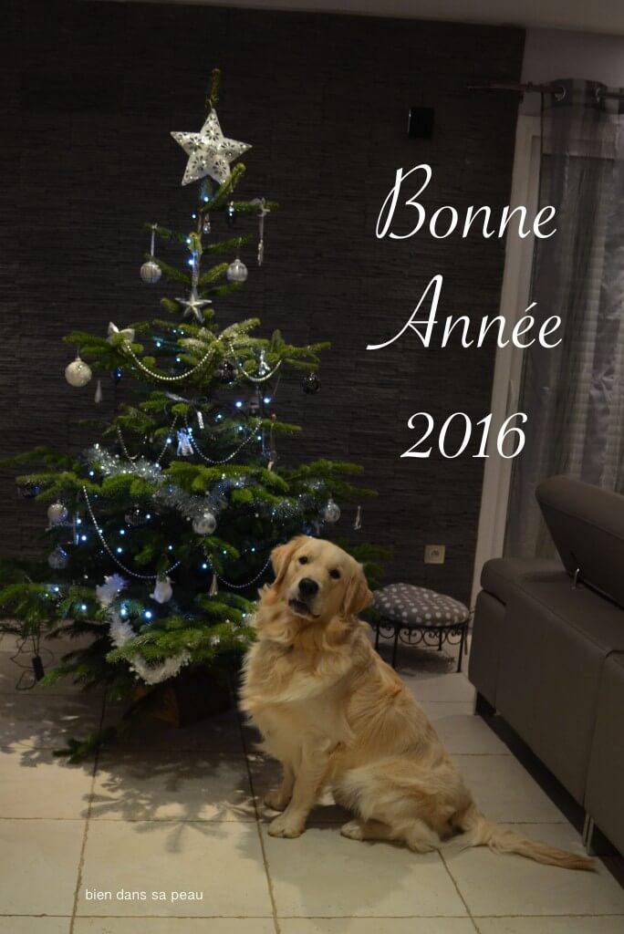 bonne-année-2016-blog-bien-dans-sa-peau