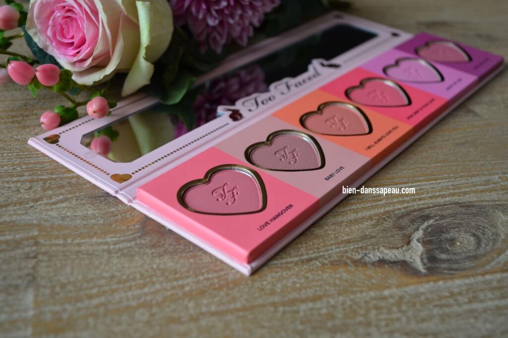 palette-love-flush-too-faced-blush-wardrobe-swatches-3