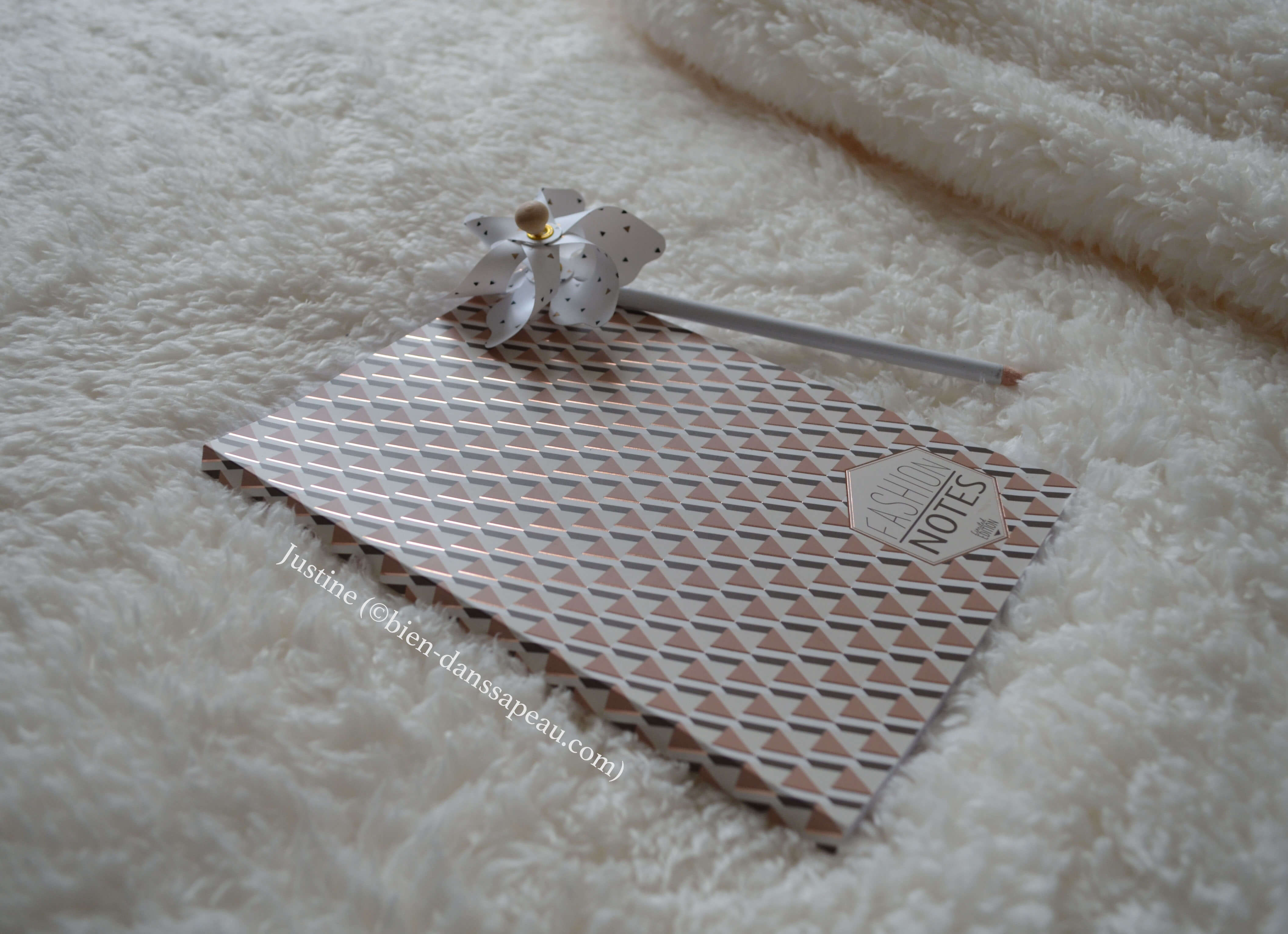 cahier de reconnaissances