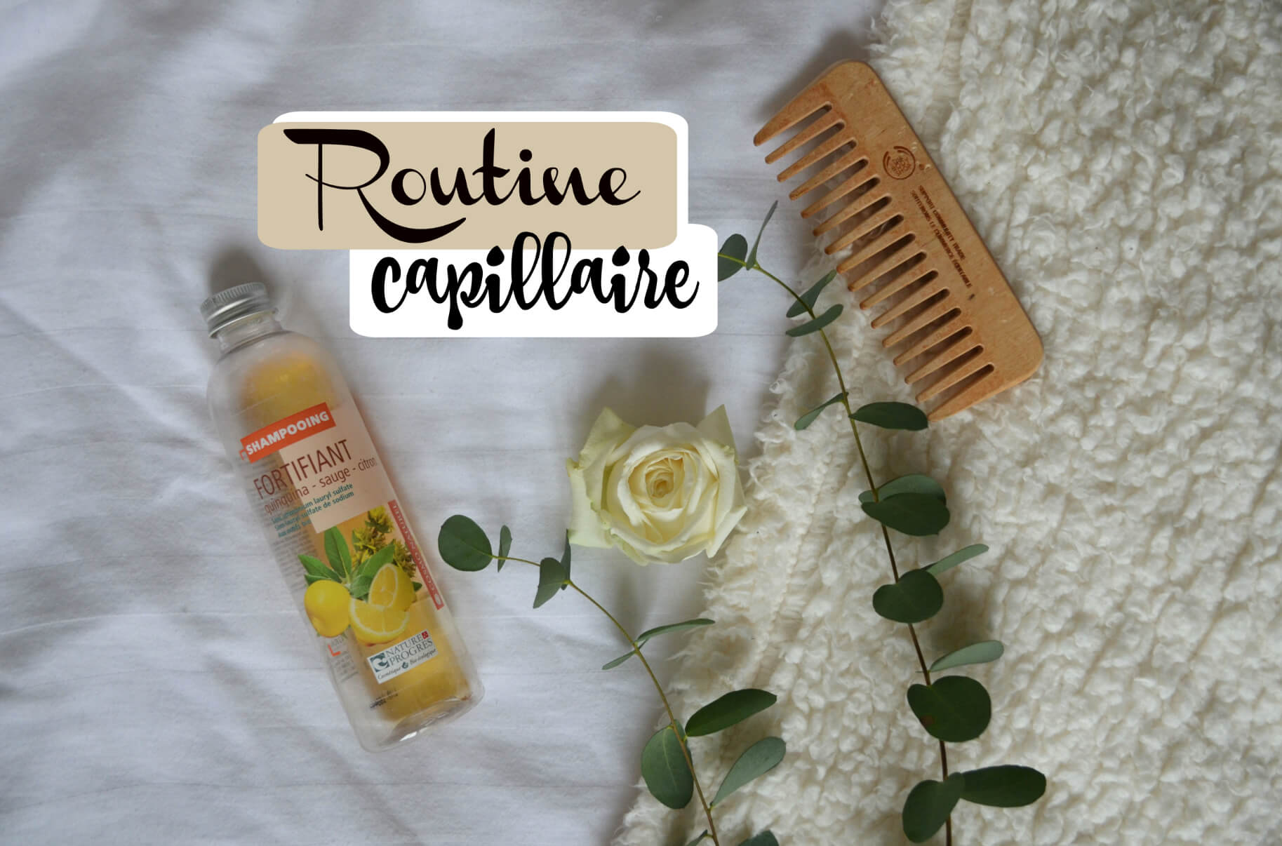 routine capillaire