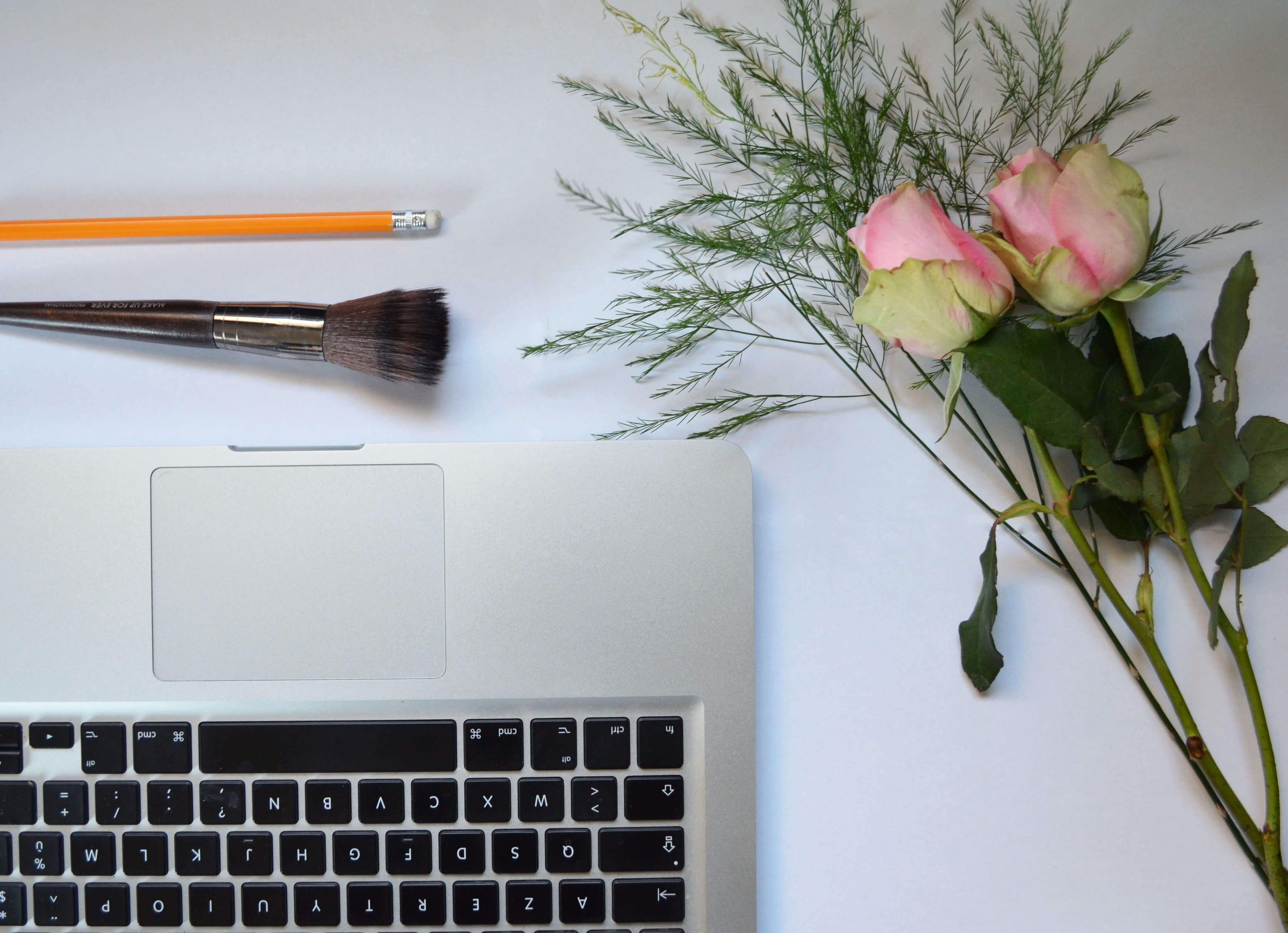 15 articles les plus lus