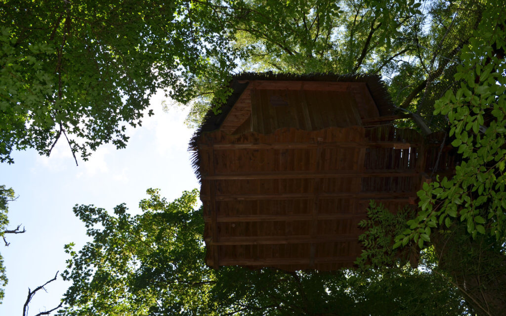 cabane dans un arbre