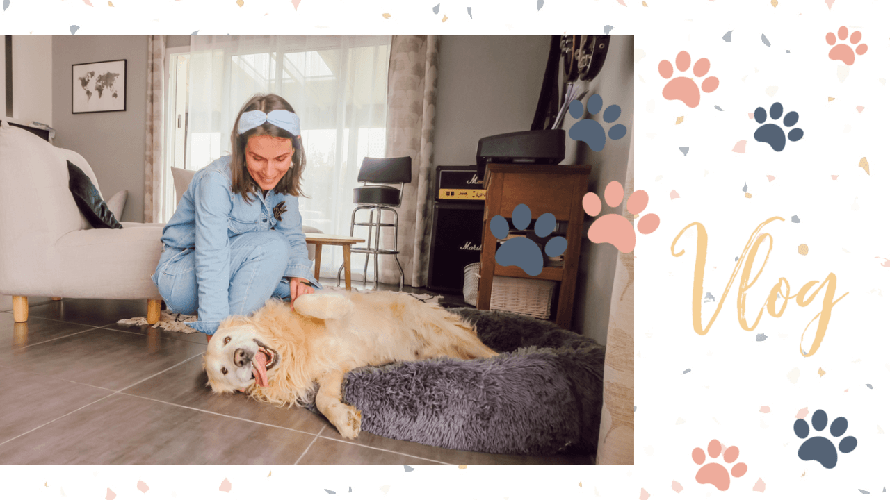 vlog-coussin-comfy-puppy-love